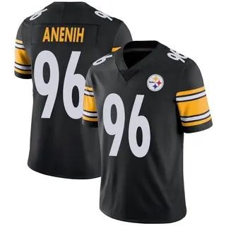 David Anenih Pittsburgh Steelers Youth Limited Team Color Vapor Untouchable Nike Jersey - Black
