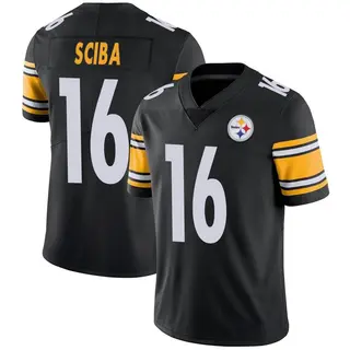 Nick Sciba Pittsburgh Steelers Youth Limited Team Color Vapor Untouchable Nike Jersey - Black