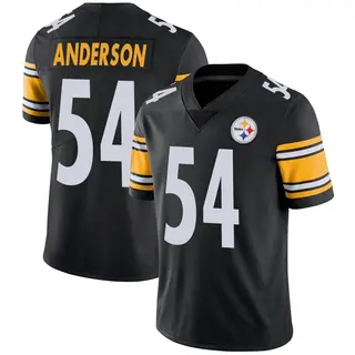 Ryan Anderson Pittsburgh Steelers Youth Limited Team Color Vapor Untouchable Nike Jersey - Black