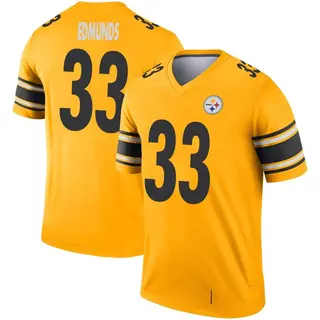 Trey Edmunds Pittsburgh Steelers Youth Legend Inverted Nike Jersey - Gold